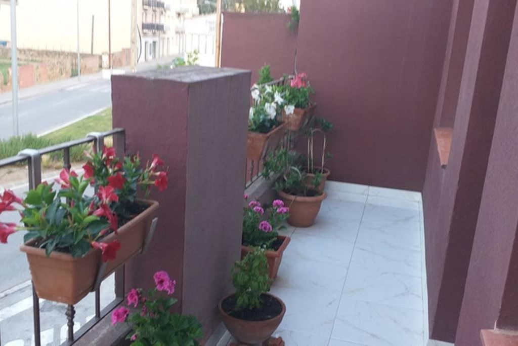 Apartamento Vacaciones Palafrugell Dış mekan fotoğraf